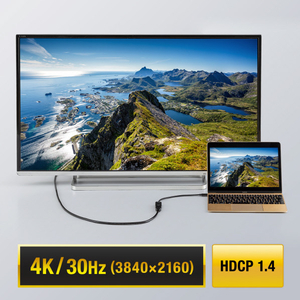 サンワサプライ USB Type C-HDMI変換アダプタ(4K/30Hz) AD-ALCHD02-イメージ11