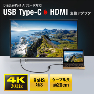 サンワサプライ USB Type C-HDMI変換アダプタ(4K/30Hz) AD-ALCHD02-イメージ9