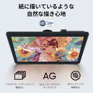 XP-PEN 液晶ペンタブレット Artist Pro22（Gen2）替え芯セット付属 ブラック ART220QH_JP-イメージ14