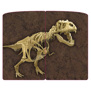 くもん出版 恐竜化石発掘カードゲーム ｷﾖｳﾘﾕｳｶｾｷﾊﾂｸﾂｶ-ﾄﾞｹﾞ-ﾑ-イメージ3