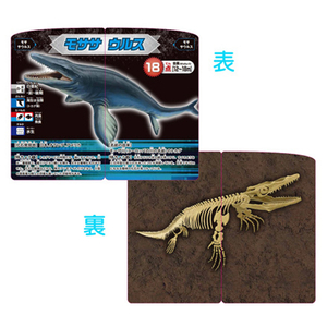 くもん出版 恐竜化石発掘カードゲーム ｷﾖｳﾘﾕｳｶｾｷﾊﾂｸﾂｶ-ﾄﾞｹﾞ-ﾑ-イメージ6