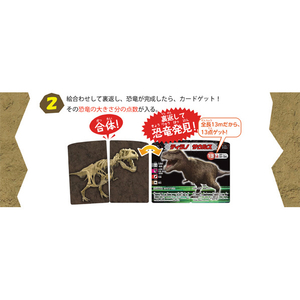 くもん出版 恐竜化石発掘カードゲーム ｷﾖｳﾘﾕｳｶｾｷﾊﾂｸﾂｶ-ﾄﾞｹﾞ-ﾑ-イメージ9