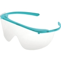 bolle SAFETY ニンカ フレーム5、レンズ20セット PSONINS013 FCB105B-2514698