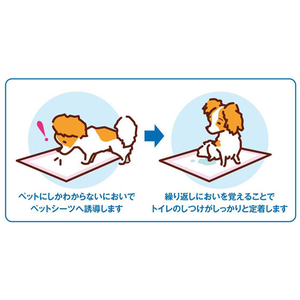 ボンビアルコン しつけるシーツ幼犬用neoレギュラーサイズ 40枚 FCB4123-イメージ4