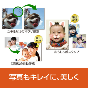 ソースネクスト 筆王Ver.30 WEBﾌﾃﾞｵｳﾊﾞ-ｼﾞｮﾝ30WD-イメージ5