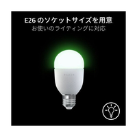 RAZER RZ43-04250100-R3UJ ゲーミングルーム用RGB LED 電球 Aether
