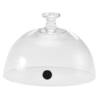 菅原工芸硝子 スーパーアラジン専用ガラスカバー(バルブ付) 21cm FC107LY-8363100