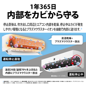 シャープ 「工事代金別」 26畳向け 自動お掃除付き 冷暖房省エネハイパワーエアコン e angle select プラズマクラスターエアコン XE4シリーズ Xシリーズ AY80SXE4S-イメージ11