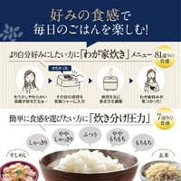 象印 NW-NH10E4-BA 圧力IH炊飯ジャー炎舞炊き(5．5合炊き) e angle