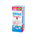 アイリスオーヤマ Genki!ふわもちタッチ Big大 36枚 FCJ527V-GBP-BIGD36