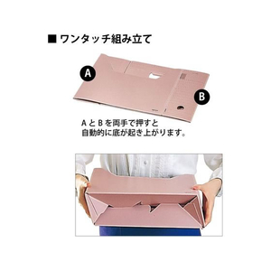 コクヨ ファイルボックス-FS Bタイプ ピンク 5個 FC02253-B4-SFBN-P-イメージ3