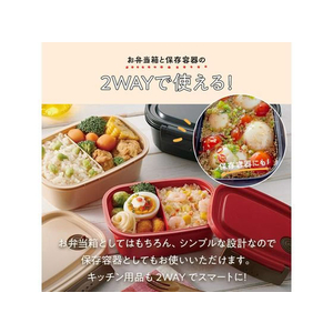 スケーター 軽量薄肉設計! ラク軽弁当箱 550ml ブラック FC217PB-XPM4-イメージ2