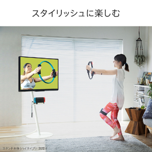 ナカムラ WALL テレビスタンド anataIROラージタイプ対応ポータブルゲーム機ホルダー EQUALS・WALLシリーズ サテンブラック M05000247-イメージ3