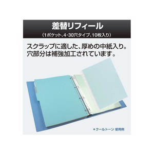 プラス デジャヴカラーズ 差替リフィル A4 10枚 モノトーン 89417 FCS2094-89417/RE-141DP-イメージ2