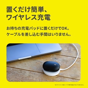 AVIOT AVIOT トゥルーワイヤレスイヤホン ピエール中野 ブラック TE-U1-PNK-イメージ13
