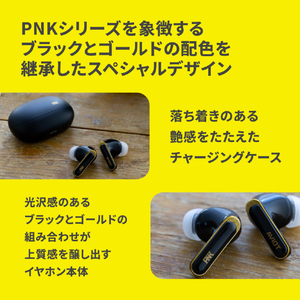 AVIOT AVIOT トゥルーワイヤレスイヤホン ピエール中野 ブラック TE-U1-PNK-イメージ16