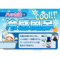健栄製薬 F029221 ハッカ油P 20mL |エディオン公式通販