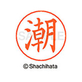 シヤチハタ ネームペン用ネーム シルバー 既製 潮 FC46144-X-GPS-0373