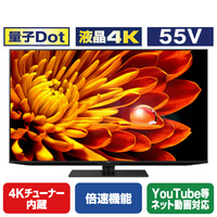 シャープ 4TC55EP1 55V型4Kチューナー内蔵4K対応液晶テレビ AQUOS XLED 