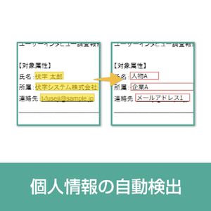 ソースネクスト いきなりAI 情報マスキング シリアルコード版 ｲｷﾅﾘAIDMH-イメージ5