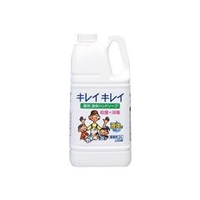 ライオンハイジーン キレイキレイ薬用ハンドソープ　2L BPGHY2K