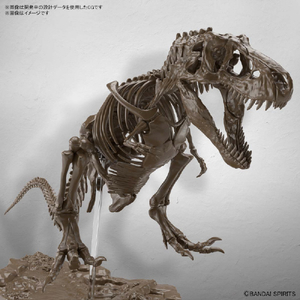 バンダイスピリッツ 1/32 Imaginary Skeleton ティラノサウルス ISﾃｲﾗﾉｻｳﾙｽ-イメージ2