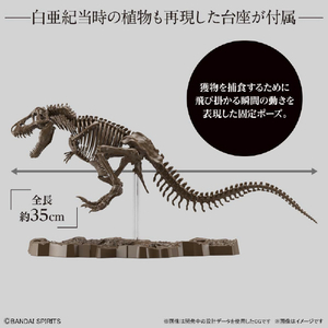 バンダイスピリッツ 1/32 Imaginary Skeleton ティラノサウルス ISﾃｲﾗﾉｻｳﾙｽ-イメージ3