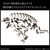 バンダイスピリッツ 1/32 Imaginary Skeleton ティラノサウルス ISﾃｲﾗﾉｻｳﾙｽ-イメージ5