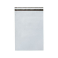 今村紙工 PE宅配袋 大 10枚 FCF100U-PE-TL10