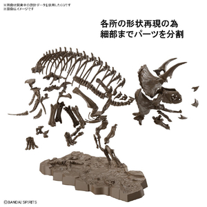 バンダイスピリッツ 1/32 Imaginary Skeleton トリケラトプス ISﾄﾘｹﾗﾄﾌﾟｽ-イメージ4