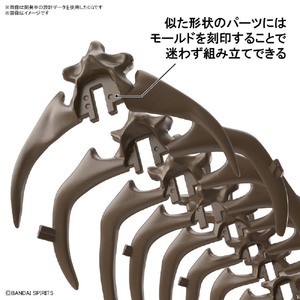 バンダイスピリッツ 1/32 Imaginary Skeleton トリケラトプス ISﾄﾘｹﾗﾄﾌﾟｽ-イメージ6