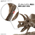 バンダイスピリッツ 1/32 Imaginary Skeleton トリケラトプス ISﾄﾘｹﾗﾄﾌﾟｽ-イメージ5