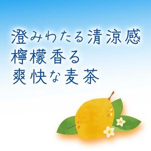 伊藤園 檸檬麦茶ティーバッグ 20袋 FCG481V-イメージ2