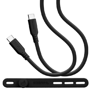 ラスタバナナ PD100W対応 USB3．2 GEN2(Type-C to Type-C) ケーブル 1．0m チャコールグレー R10CACC5A02CGRY-イメージ1