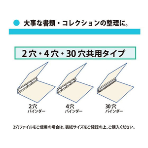 プラス 差替リフィル 2ポケット A4 2・4・30穴 10枚 透明 FCS2109-87442/RE-143RW--イメージ7