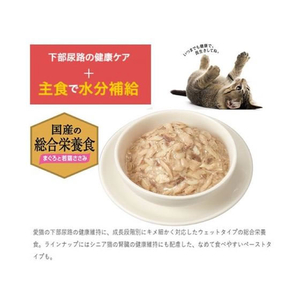 ペットライン メディファス ウェット 子ねこ12か月まで まぐろと若鶏ささみ 50g FCB5423-イメージ2