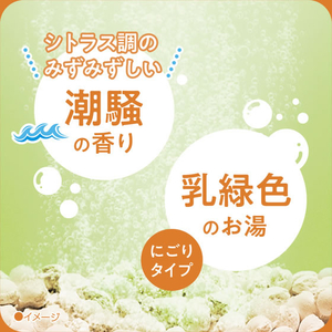 アース製薬 きき湯 食塩炭酸湯 潮騒の香り 分包付 360ｇ×2P FCK654C-イメージ4