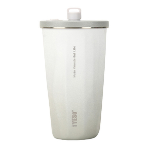 TYESO ストロータンブラー 600ml シャイングレー KT01-060-SGY-イメージ1