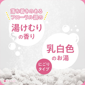 アース製薬 きき湯 クレイ重曹炭酸湯 湯けむりの香り 分包付 360ｇ×2P FCK655C-イメージ4