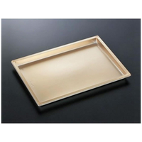 中央化学 オードブル容器 DX バット-1 G-BK 20枚 FCG802W-00778507