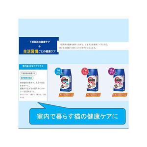 ペットライン メディファス室内毛玉1歳 2.7kg FCB5430-イメージ3
