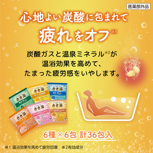 アース製薬 きき湯 6種 30ｇ×36包 FCK657C-イメージ2