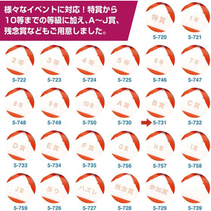 タカ印 スッキリくじ B賞 10枚 FCE063Z-5-731-イメージ7