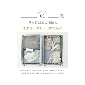Ｌａ Ｂｅｌｌａ スーツケース Mサイズ ピンクゴールド FCD032T-イメージ3