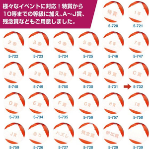 タカ印 スッキリくじ C賞 10枚 FCE064Z-5-732-イメージ7