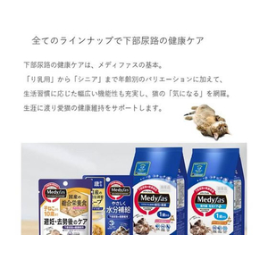 ペットライン メディファス 避妊・去勢後のケア 子ねこから10歳まで チキン&フィッシュ味 2.7kg (450g×6) FCB5432-イメージ4