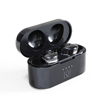 【新品未開封】 noble audio falcon max Noble Audio FALCON MAX レビュー｜ハイブリッドドライバー搭載の高