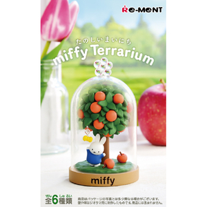 リーメント miffy Terrarium たのしいまいにち  6個入りBOX ECMIFFYTERRARIUMﾀﾉｼｲﾏｲﾆﾁ-イメージ1