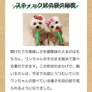 いなば ちゅーるごはん 肉チーズバラエティー 40本 FCJ227C-イメージ2