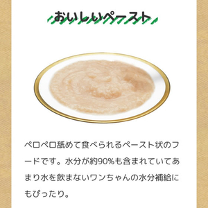 いなば ちゅーるごはん 肉チーズバラエティー 40本 FCJ227C-イメージ3